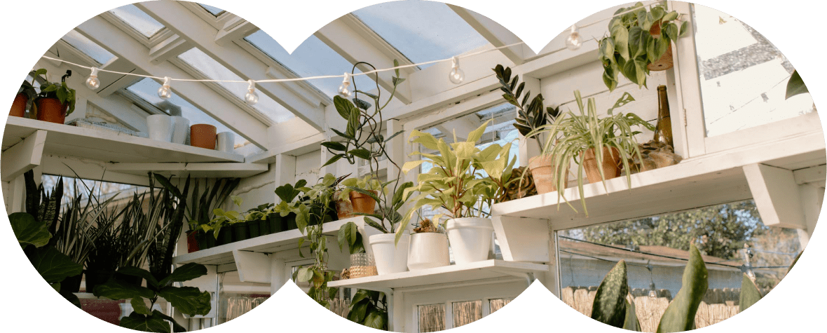 W ps about us top img opt