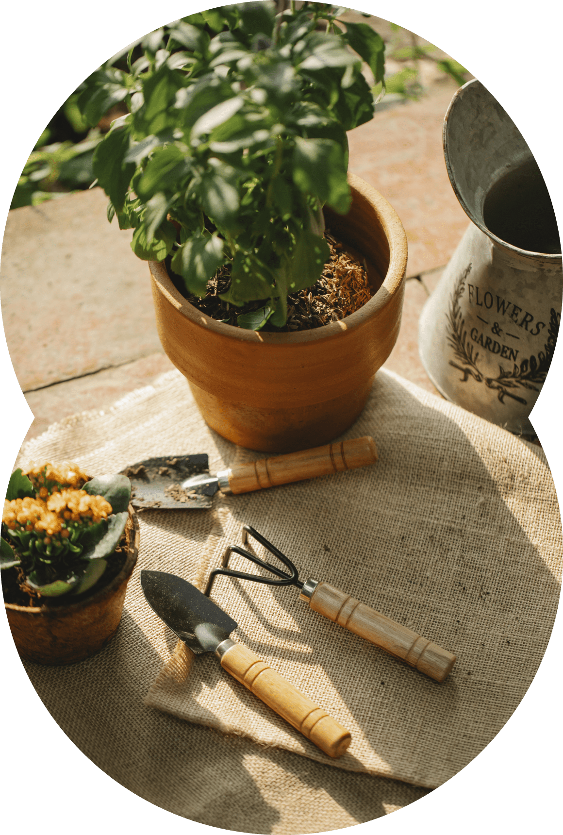 W ps delivery return min