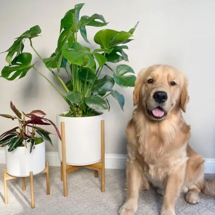 W ps instagram 6 opt